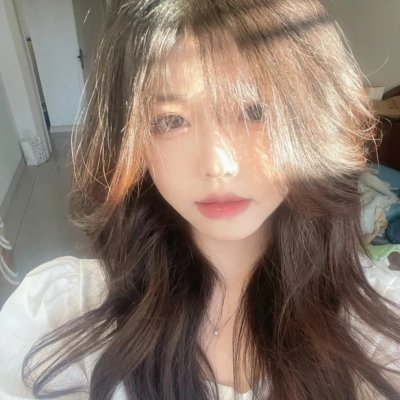 羊与钢的森林